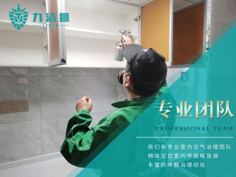 成都朗基香颂天府二期母婴标家庭除甲醛施工现场-力洁狮环保-1