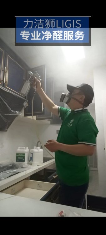成都彩虹苑 母婴家庭除甲醛施工现场-力洁狮环保-3