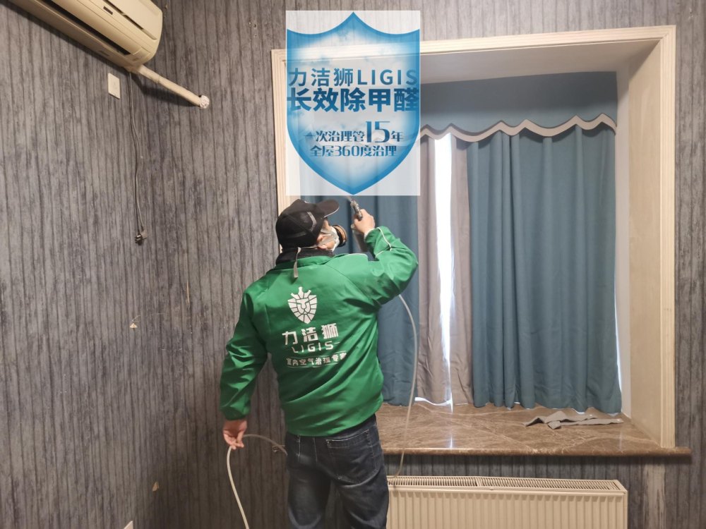 成都仁和春天家庭除甲醛施工现场-力洁狮环保-1
