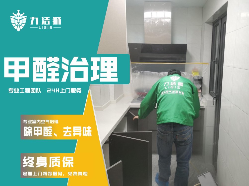 成都吉宝家庭除甲醛施工现场-力洁狮环保-3