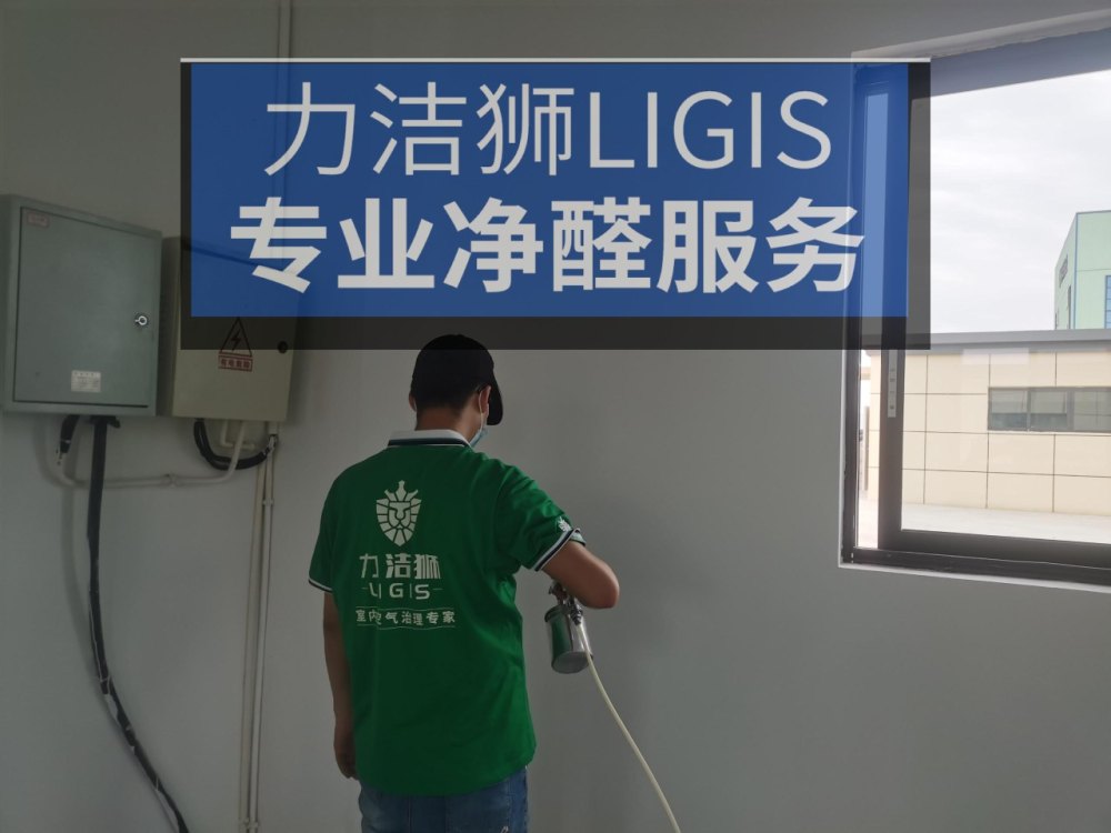 成都眉山工装除甲醛施工现场-力洁狮环保-1
