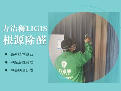 成都沙沙河壹号2期家庭除甲醛治理案例