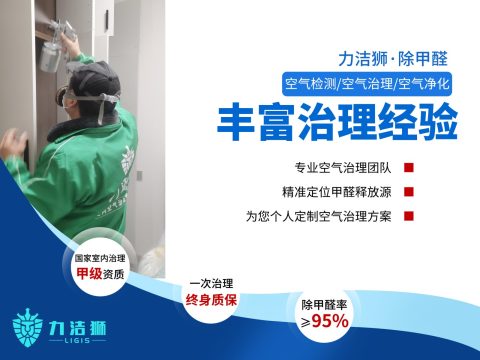 成都吉宝家庭除甲醛治理案例