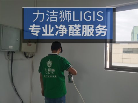 成都眉山工装除甲醛治理案例