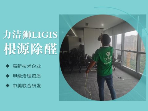 成都东方希望中心工装除甲醛治理案例